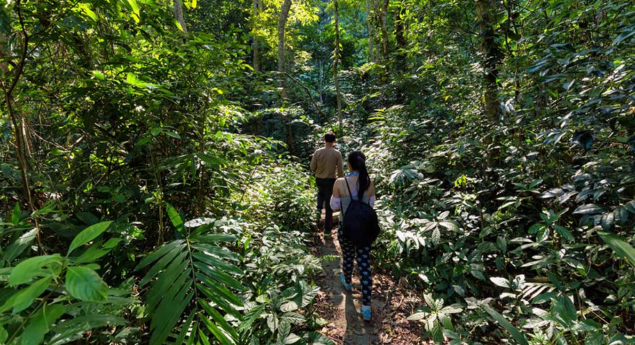 Vietnam, Halong Bucht: Wanderungen im Wald Wanderungen von der Halong Bucht aus in die Wälder