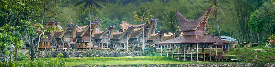 Sulawesi Hotels