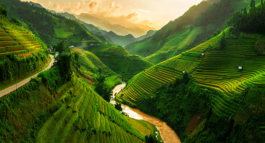 Reisterrassen in Sapa Vietnam Reisfelder und Reisterrassen in der Bergregion von Sapa