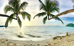 Palmenstrand Thailand Koh Kood Thailand Urlaub Strand mit Palmen