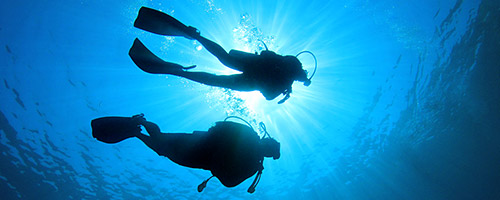 Tauchen Sie ein in die schillernde Unterwasserwelt der Philippinen
