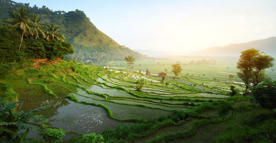 Bali Hochzeitsreise buchen nicht Kuoni