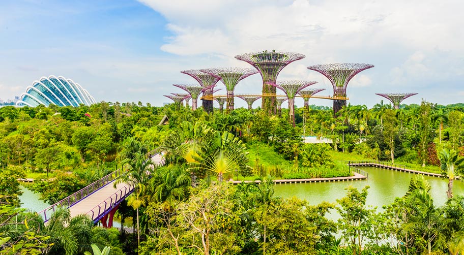 Gardens by the Bay Singapur Regenwald Attraktion