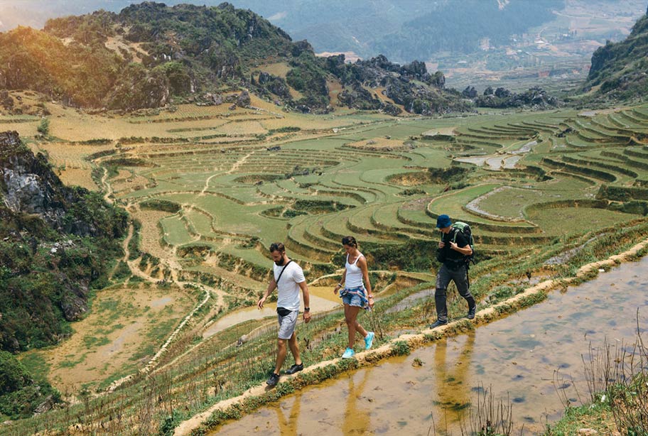 Toursten unternehmen Wanderung bei den Reisfeldern von Sapa