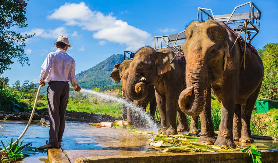 Vietnam Familien reiten auf Elefanten