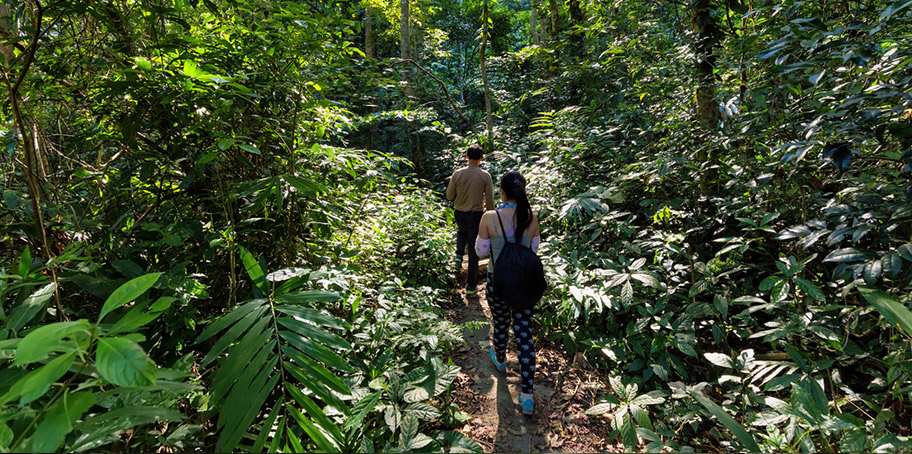 Vietnam Trekkings Paar wandert in Urwald