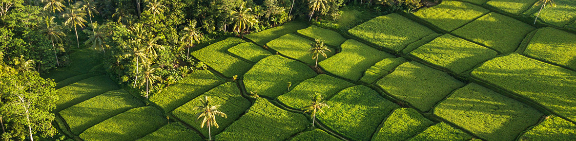 Bali Rundreisen