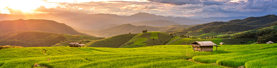 Chiang Mai Reisterrassen