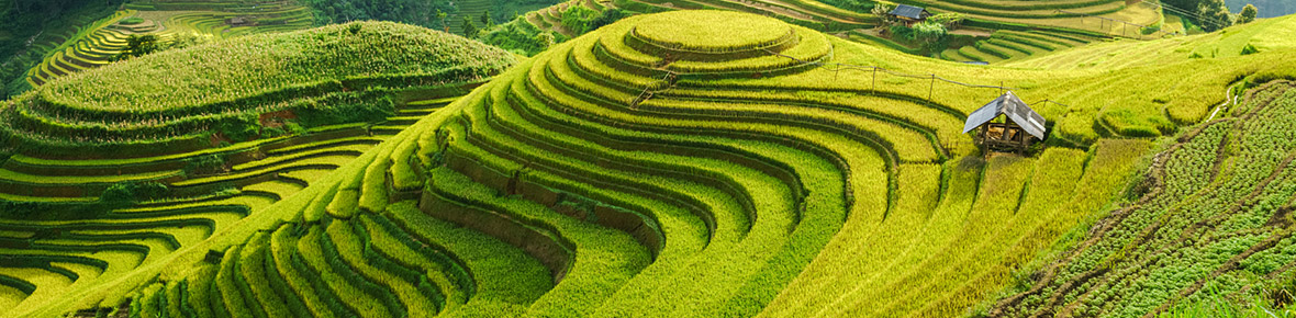 Hotels Sapa