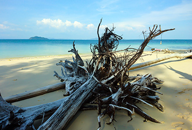 Holz Strand Koh Bulon Schwemmholz koh Bulon