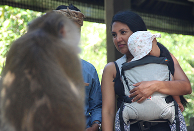 Monkey Forest Ubud mit Baby