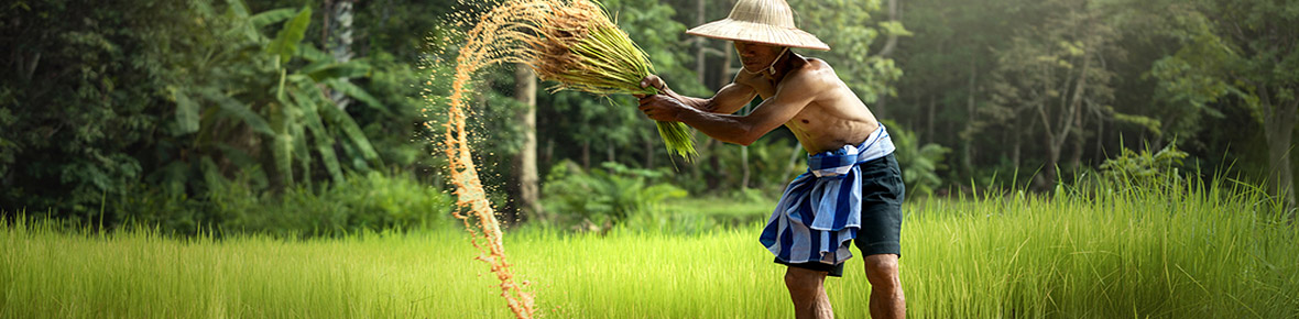 Länderübergreifende Vietnam Rundreisen