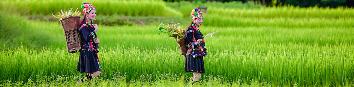 Nordvietnam Rundreisen